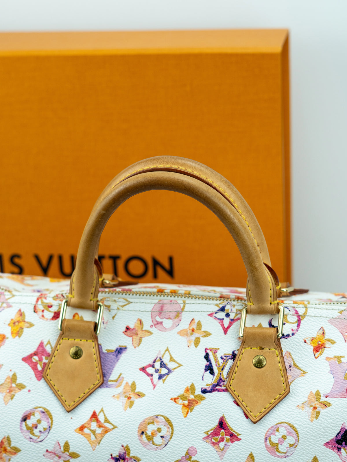 Louis Vuitton Speedy 35 aquarelle limited edition