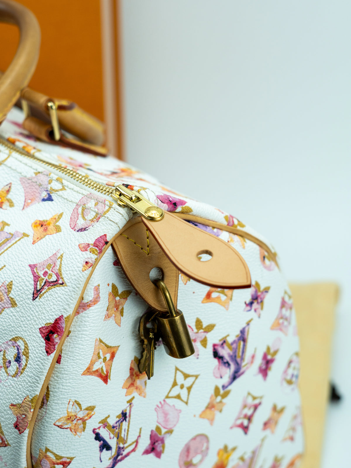 Louis Vuitton Speedy 35 aquarelle limited edition