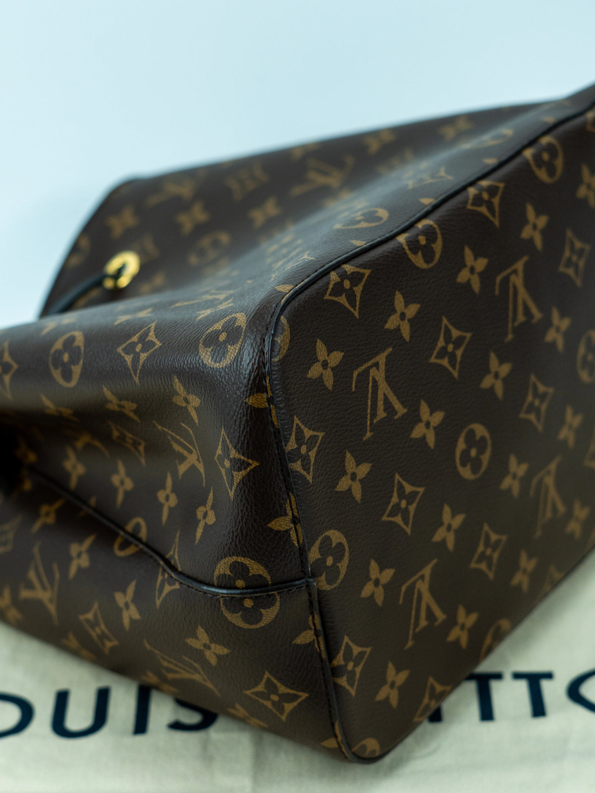 Louis Vuitton NéoNoé MM monogram e pelle nera