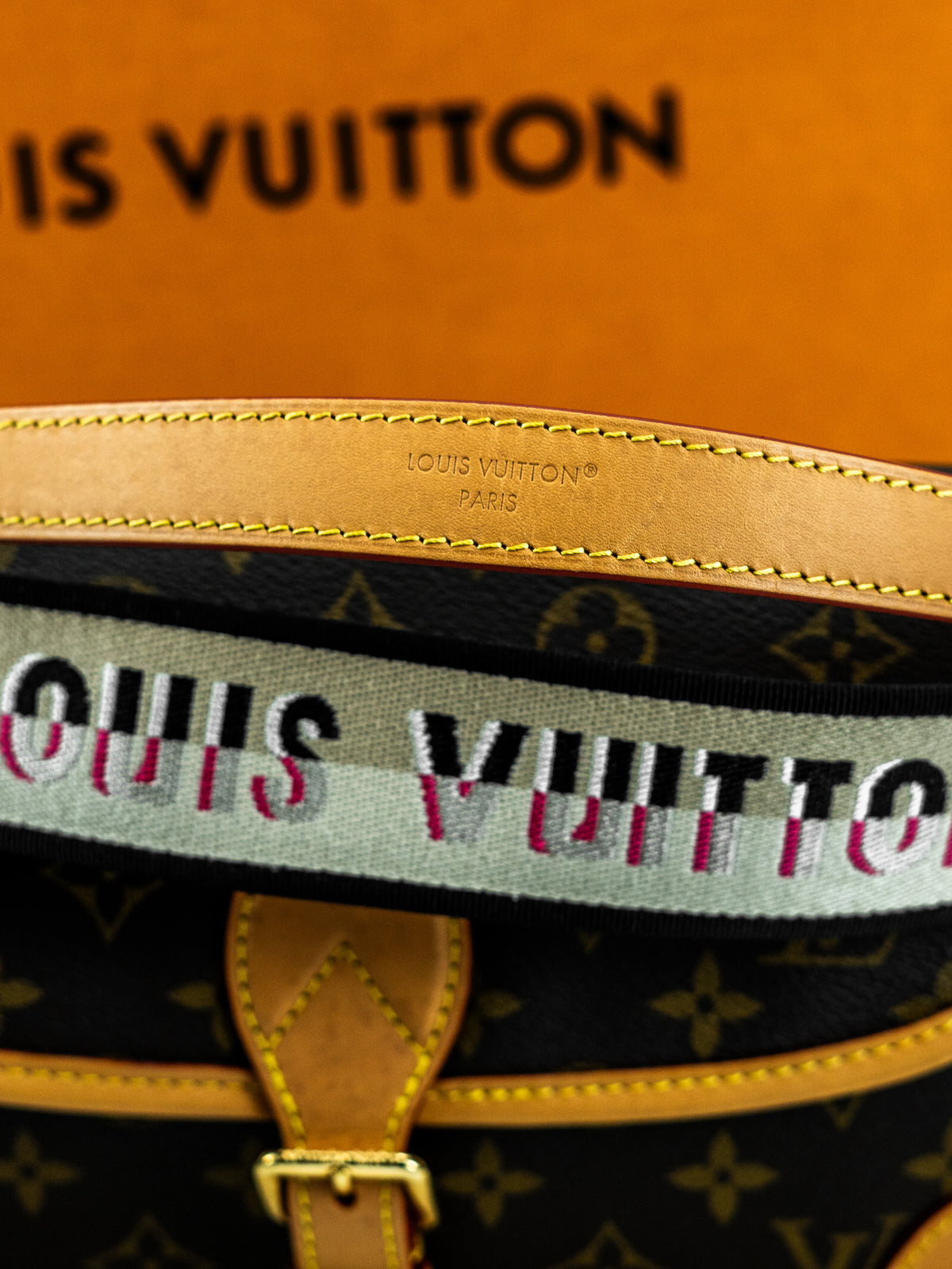 Louis Vuitton Diane monogram