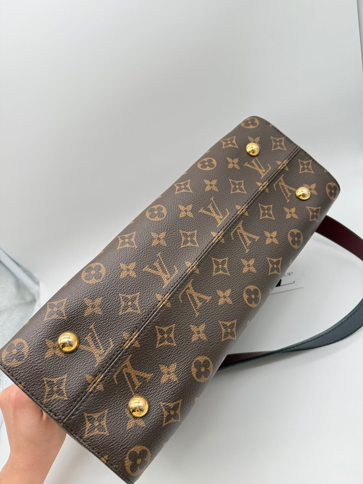 Louis Vuitton tuileries monogram - foto 12