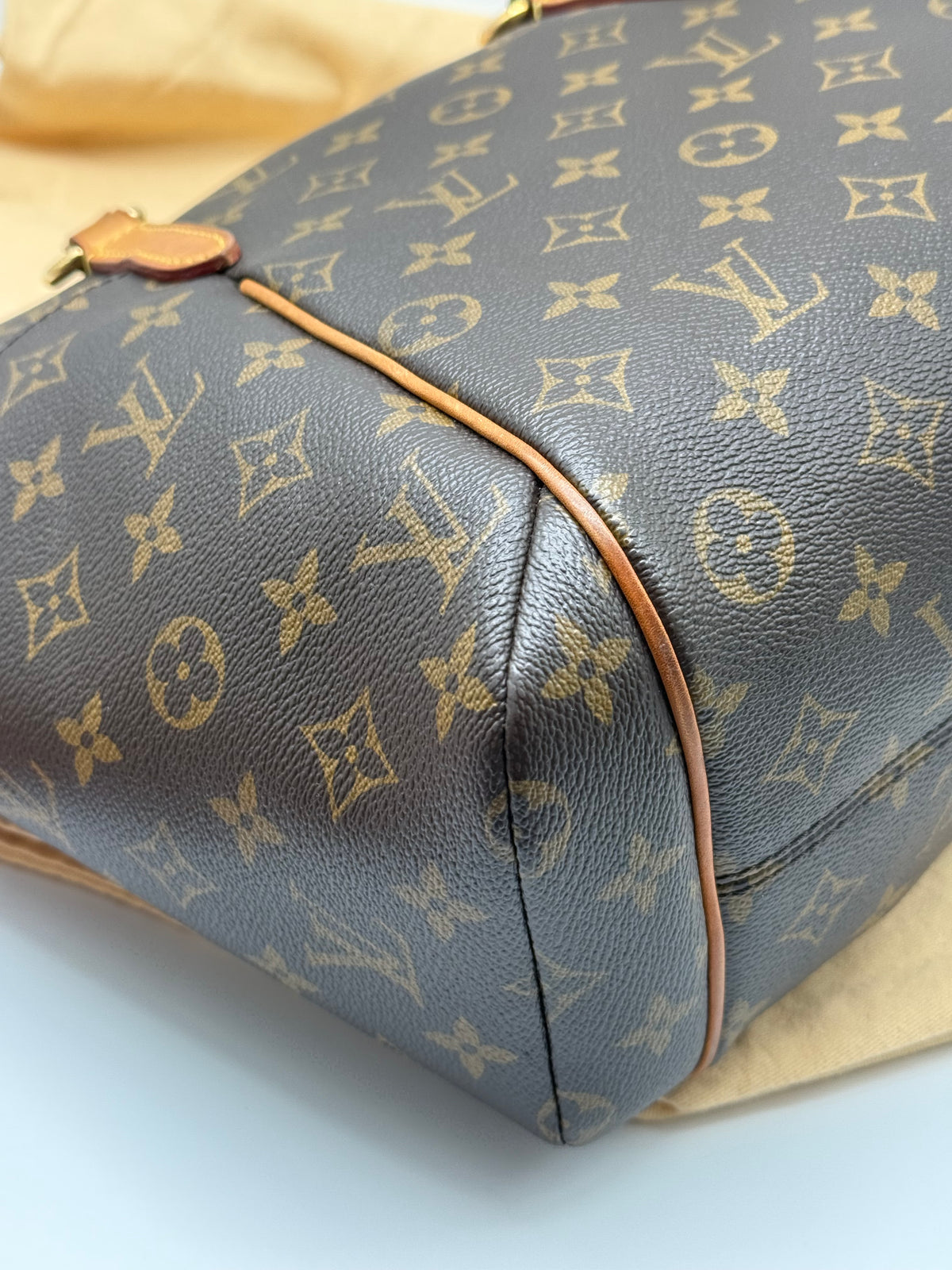 Louis Vuitton Totally PM monogram
