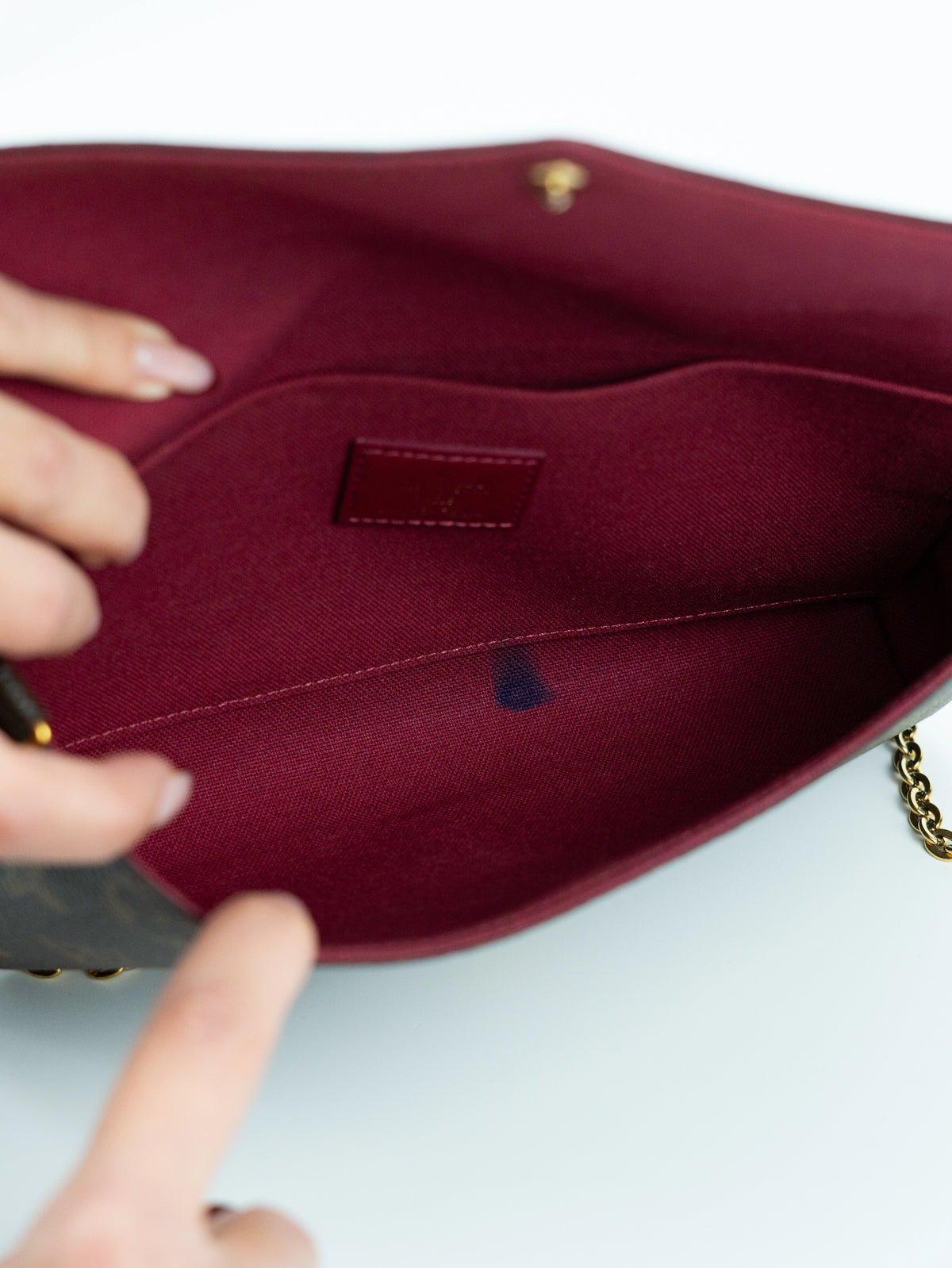 Louis Vuitton Félicie monogram