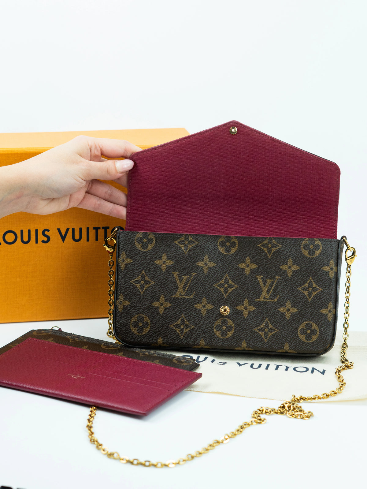 Louis Vuitton Félicie monogram
