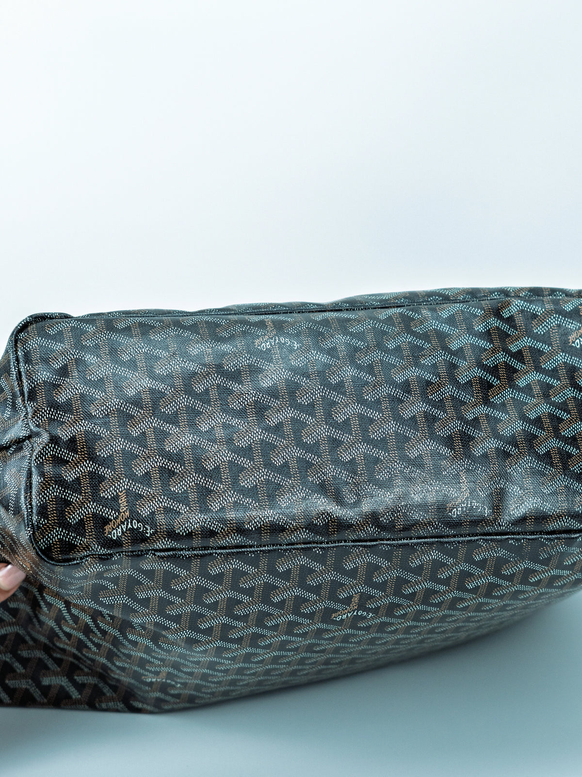 Goyard Saint Louis PM nera e marrone