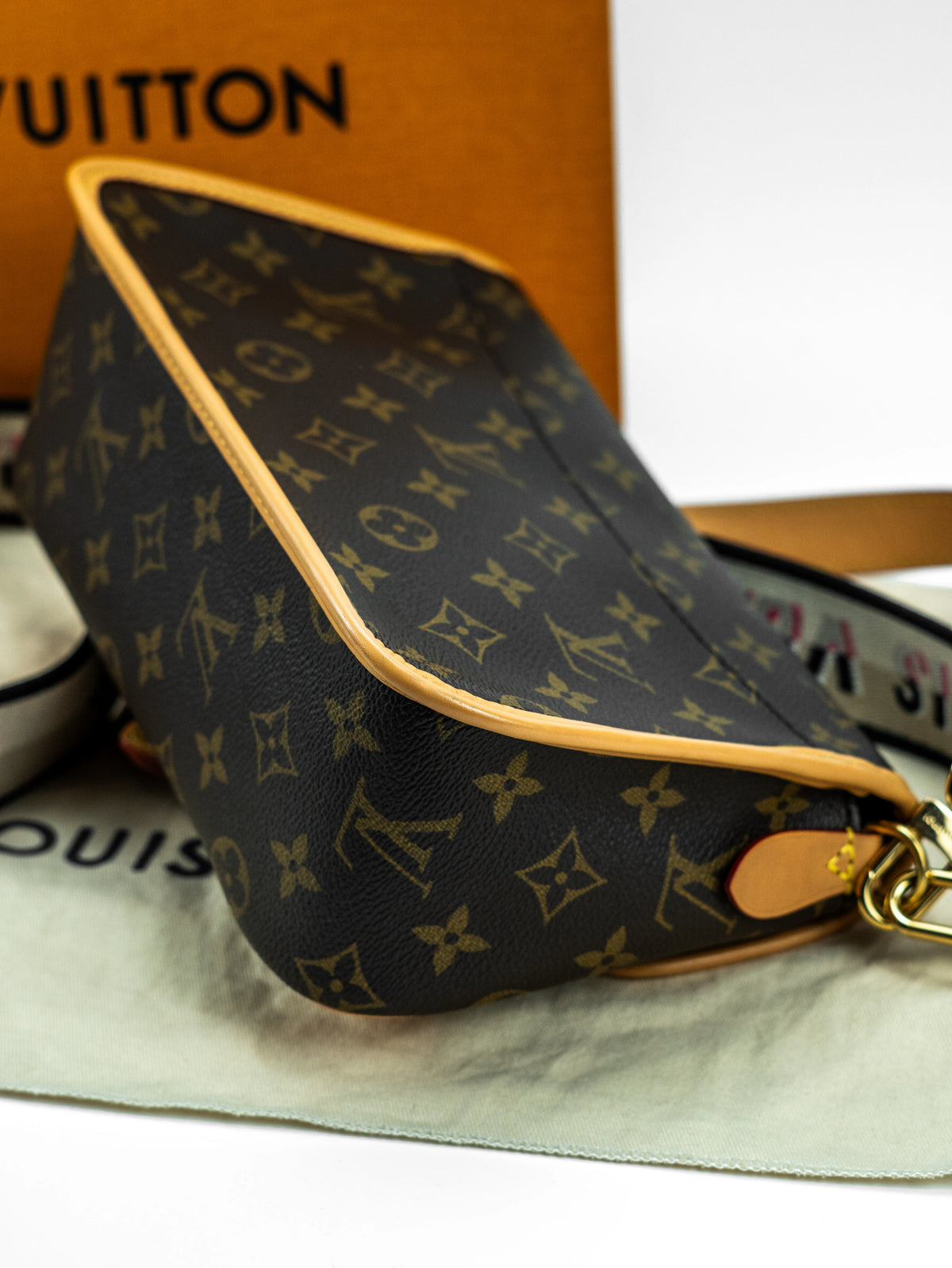 Louis Vuitton Diane monogram