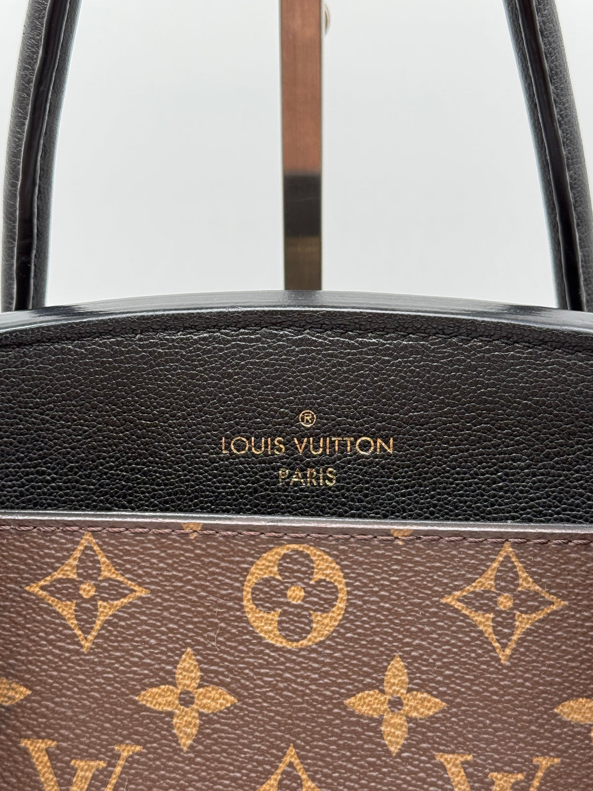 Louis Vuitton Florine monogram - foto 10