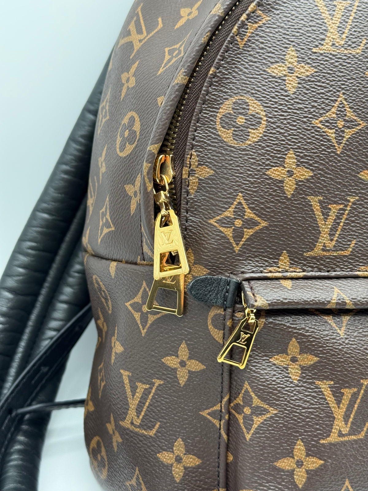 Louis Vuitton zaino palm springs PM - foto 10
