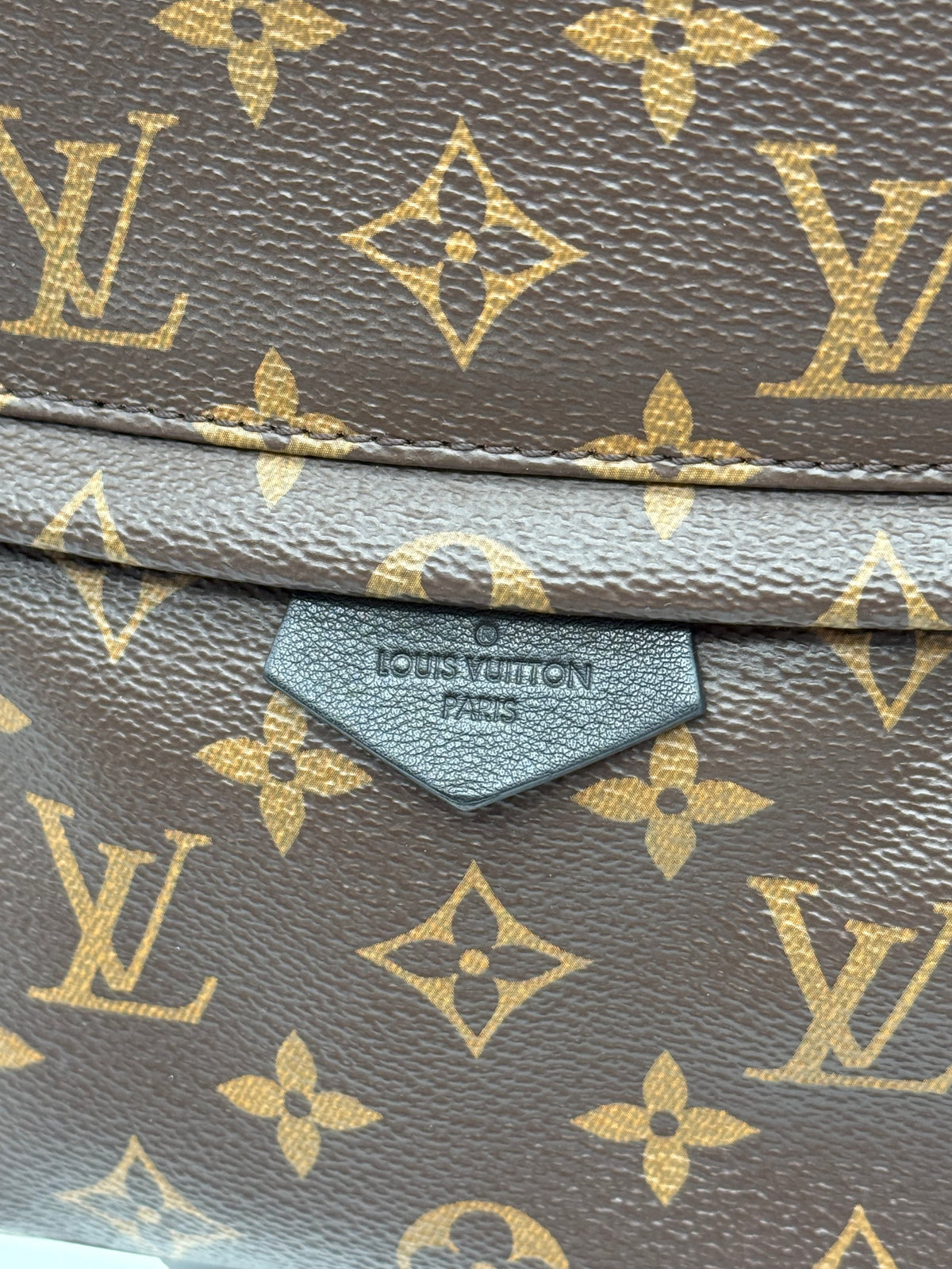 Louis Vuitton zaino palm springs PM - foto 9