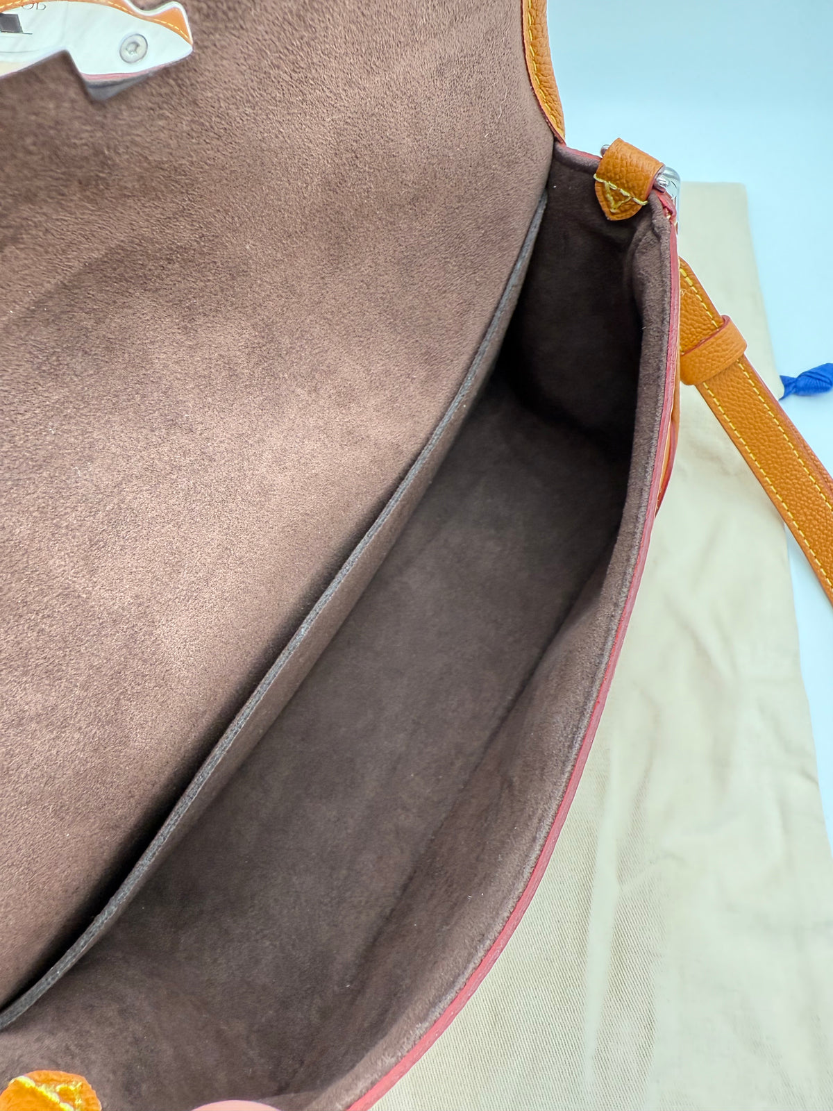 Louis Vuitton buci pelle epi - foto 4