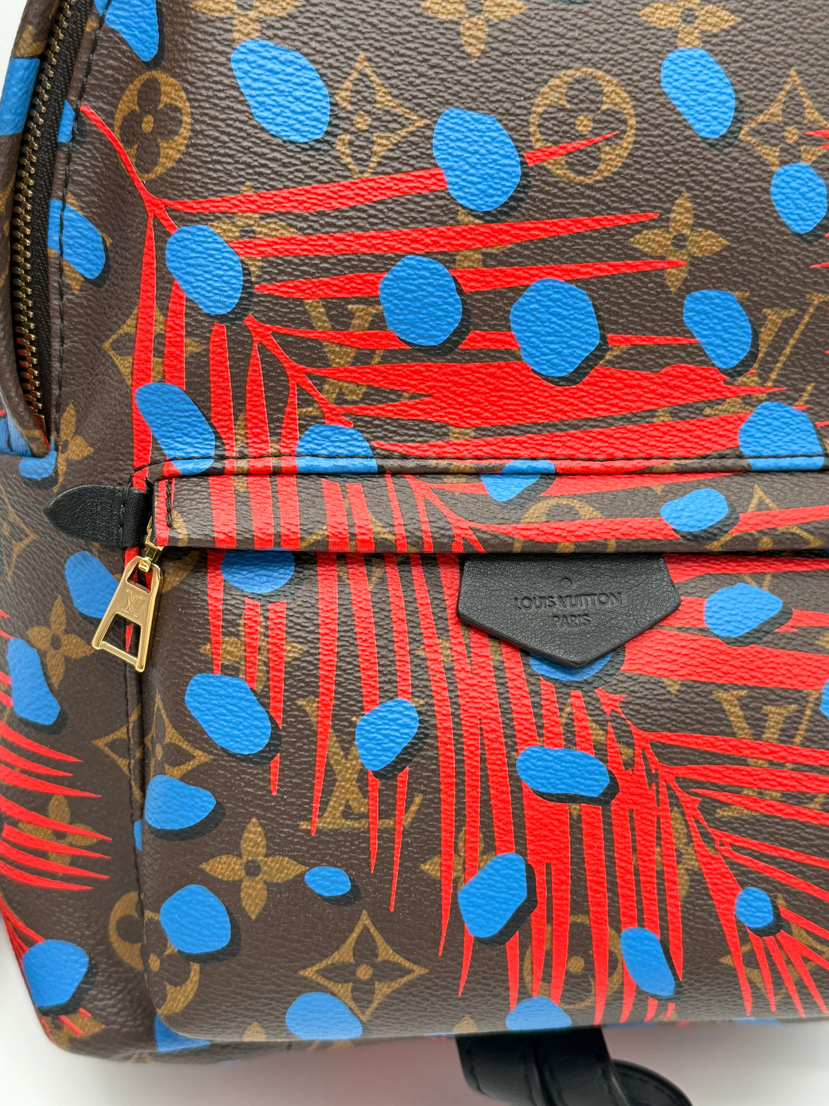 Louis Vuitton zaino limited edition Jungle Dots - foto 8