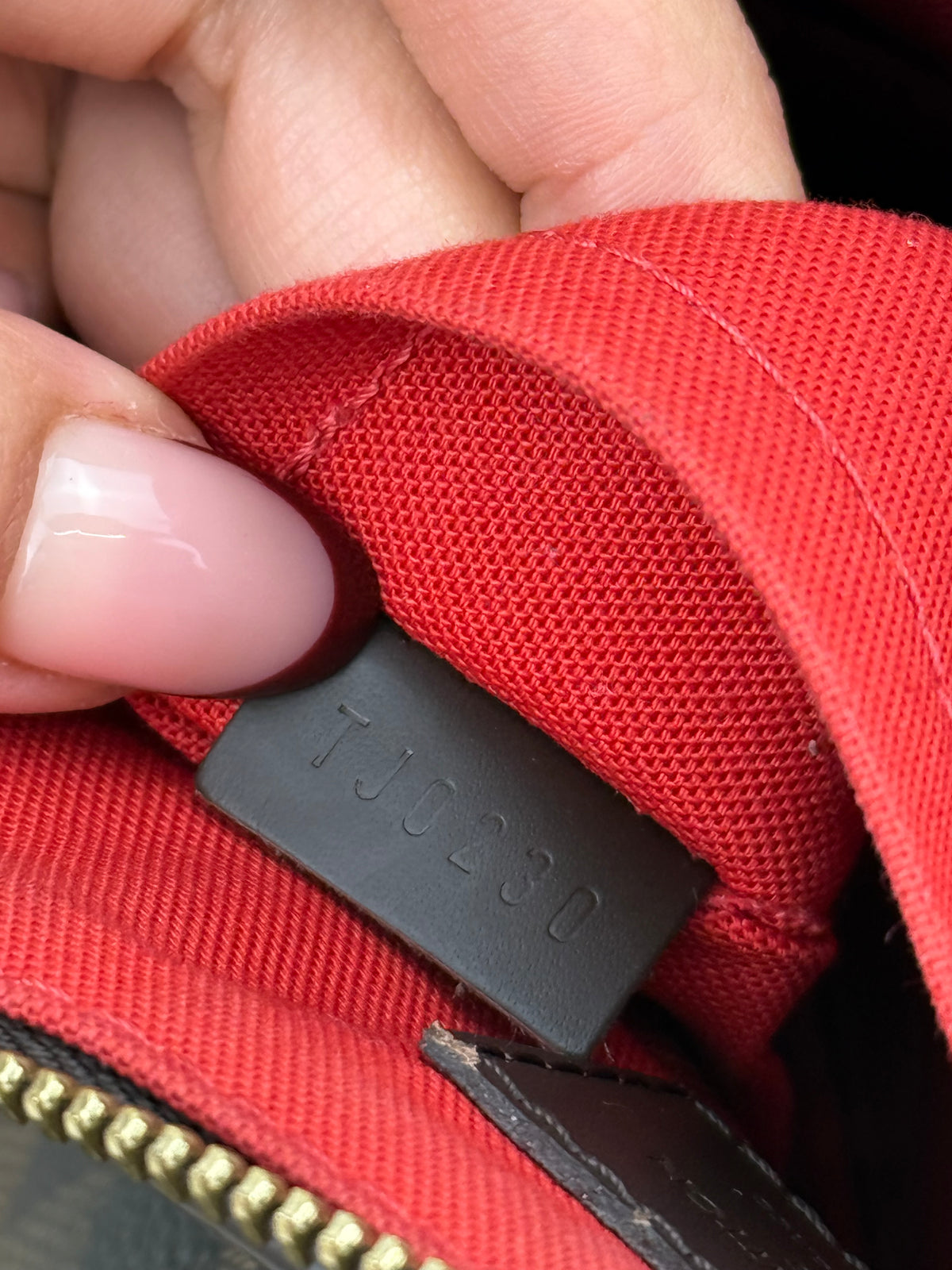 Louis Vuitton Siena damier ebene